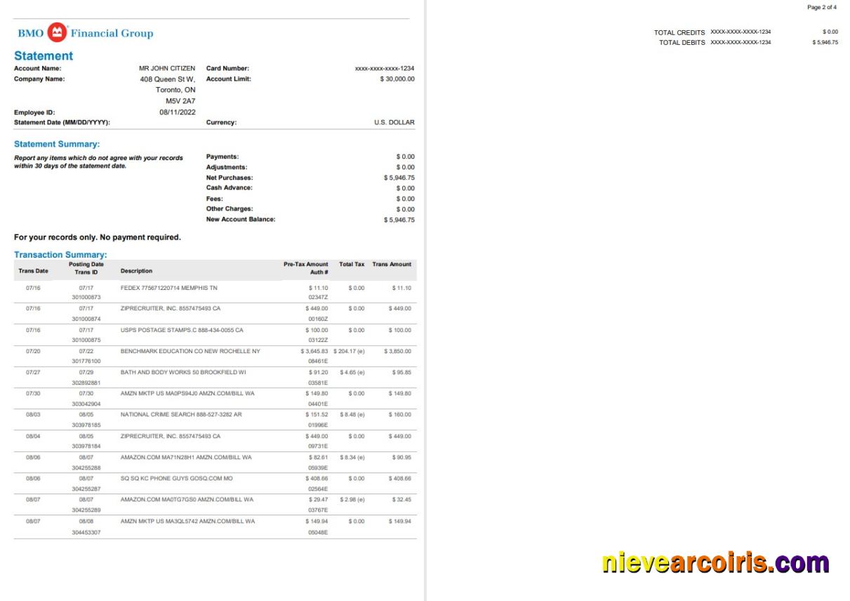 USA BMO bank statement, Word and PDF, 4 pages